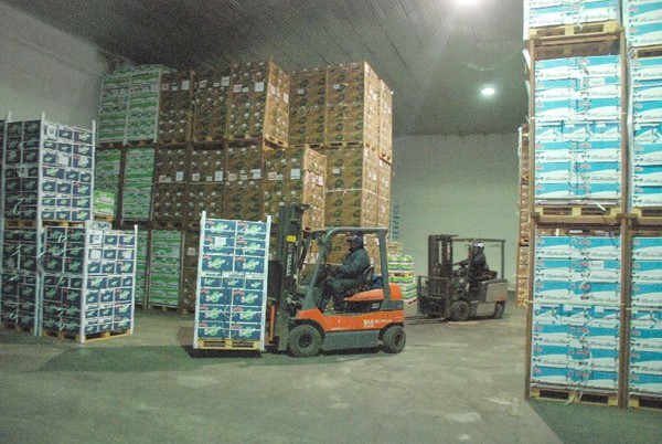 Expedición en Pallets